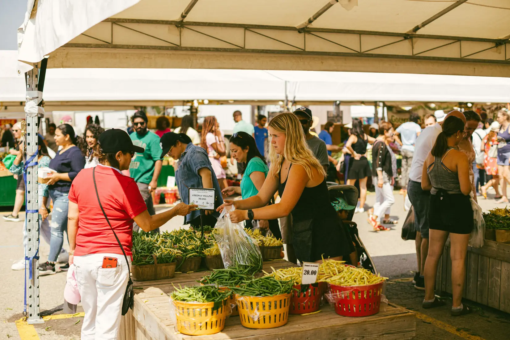 Shoppers and vendors at a busy outdoor farmers' market