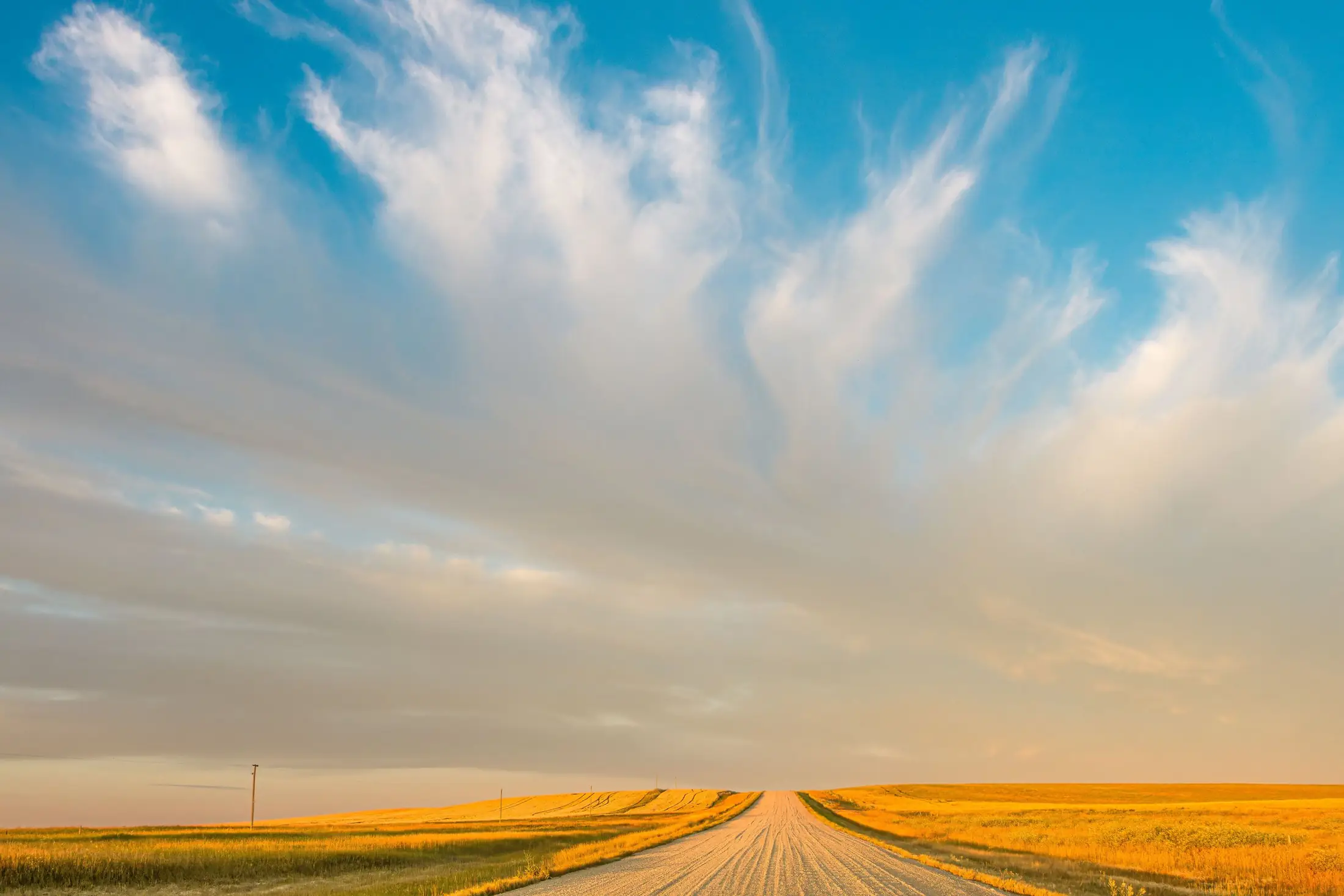 Gravel road through golden prairie fields under streaked clouds