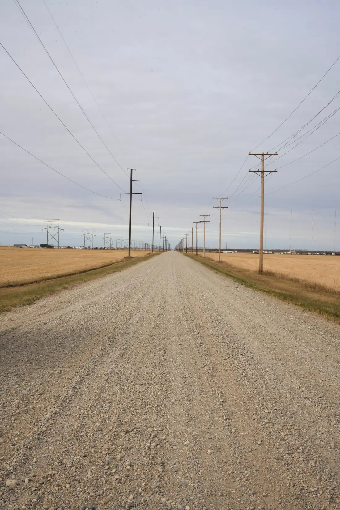 Gravel range road lined with power poles running to the horizon